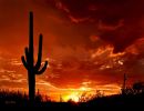La magnífica naturaleza de Arizona 2era parte