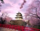 Japón en Primavera y Himeji