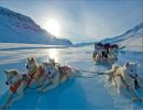 Trineos en la nieve tirados por perros y renos