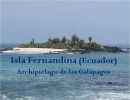 Islas Fernandina – Ecuador