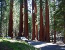Imágenes del mundo: Parque nacional Sequoia