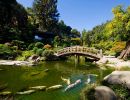 Hakone gardens  USA