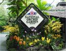 Jardín botánico de Singapur