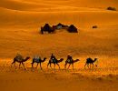La fascinación del Desierto