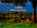 Acebo – Cáceres