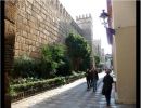 Sevilla caminando por mi ciudad