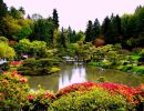 Seattle japanese garden USA