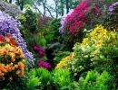 Dorothy clive garden england