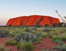 Australia (Uluru-Kata Tjuta NP) – Steve