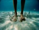 Bajo el agua