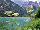Lago y Valle Di Landro – Italia