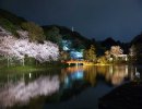 Sankein-en – Jardín Japones