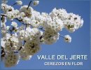Valle Del Jerte Cerezos En Flor