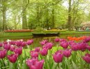 Jardín de Europa-Holanda