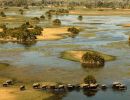La Ruta del Okavango – Africa