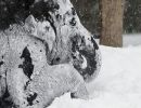 Los elefantes jugando en la nieve en el zoo de Berlín