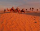 Túnez, la puerta del Sahara