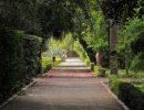 Un recorrido por el Jardín Botánico de Valencia